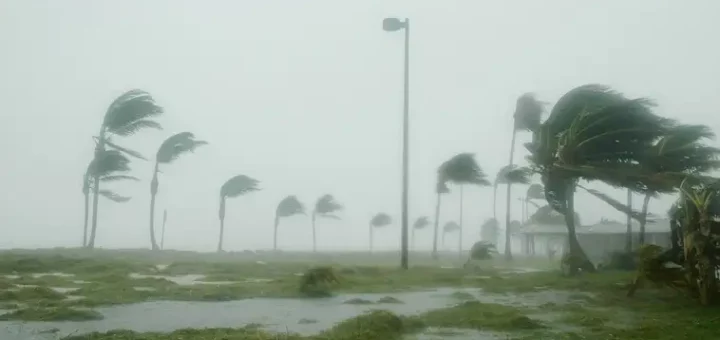 Hurricanes
