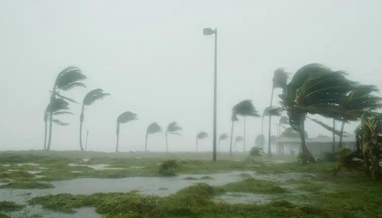 Hurricanes