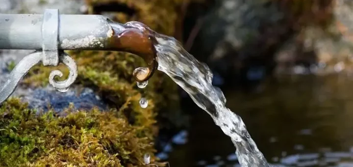 Lead Contamination