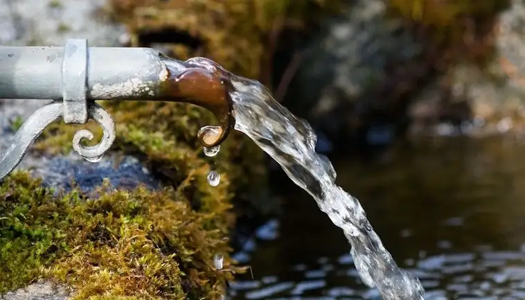 Lead Contamination