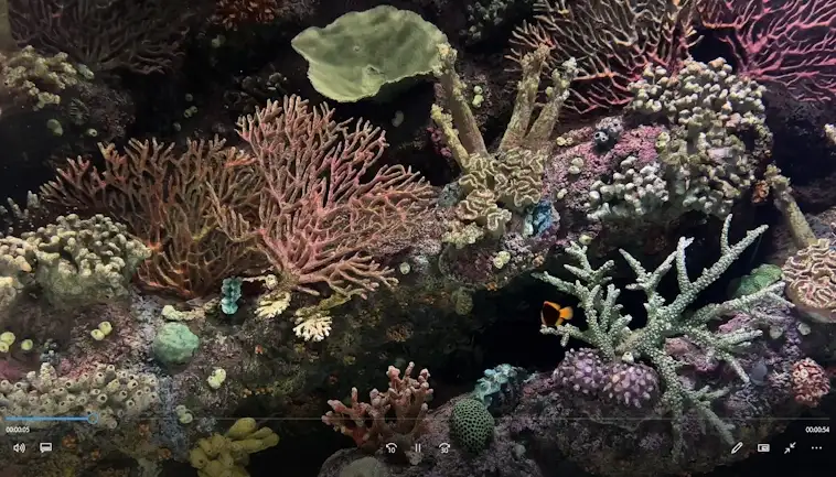 Ocean Acidification