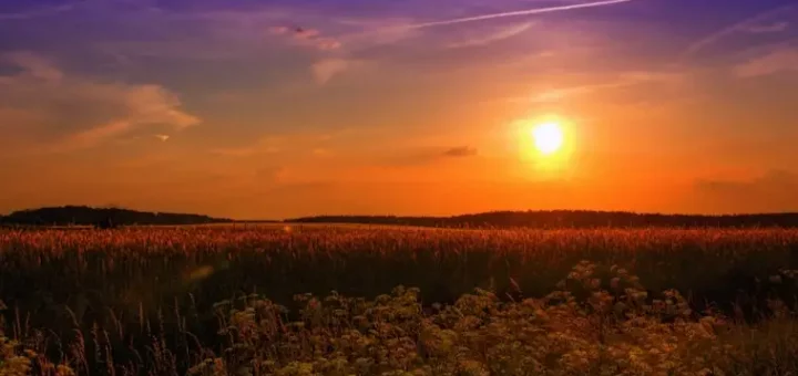 Solar Energy