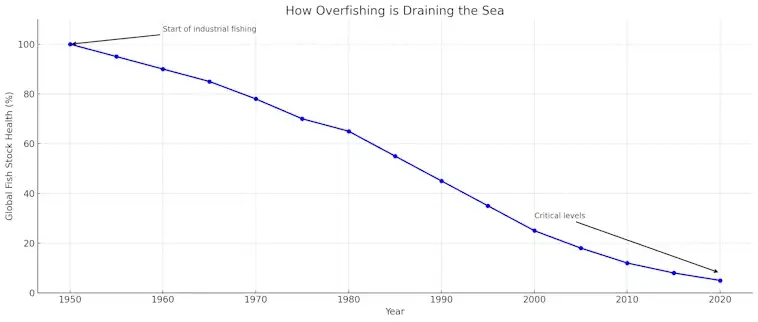 Overfishing