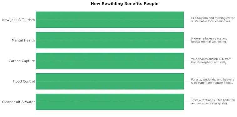 How Rewilding Benefits People