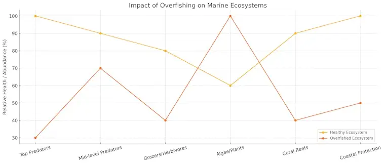 Overfishing