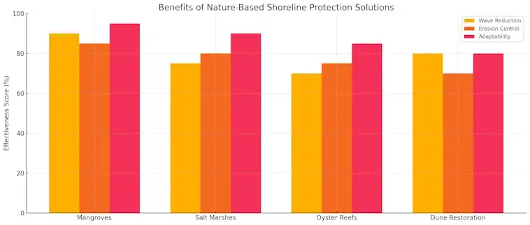 Shoreline Protection Solutions