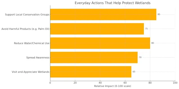 Protect Wetlands