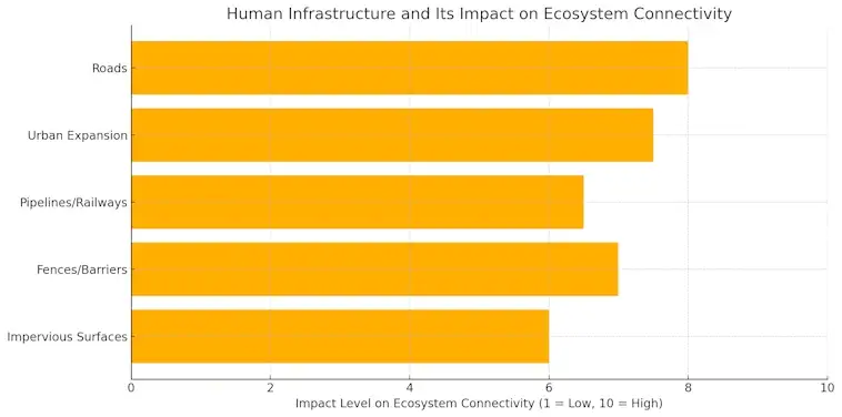 Impact on Ecosystem Connectivity