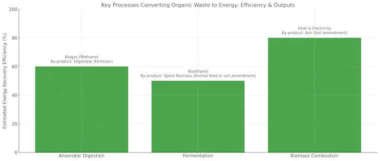 Converting Organic Waste to Energy
