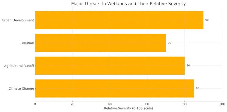 Threats to Wetlands