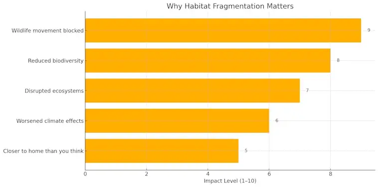 Habitat Fragmentation