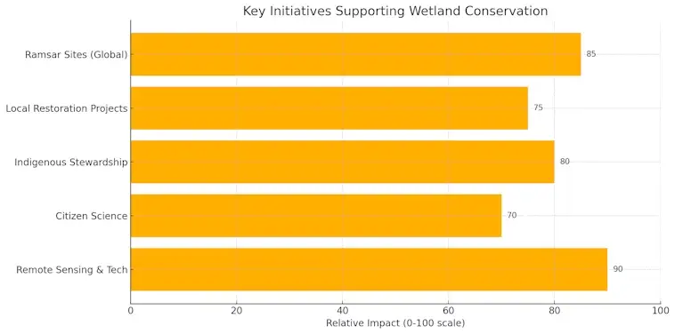 Wetland Conservation