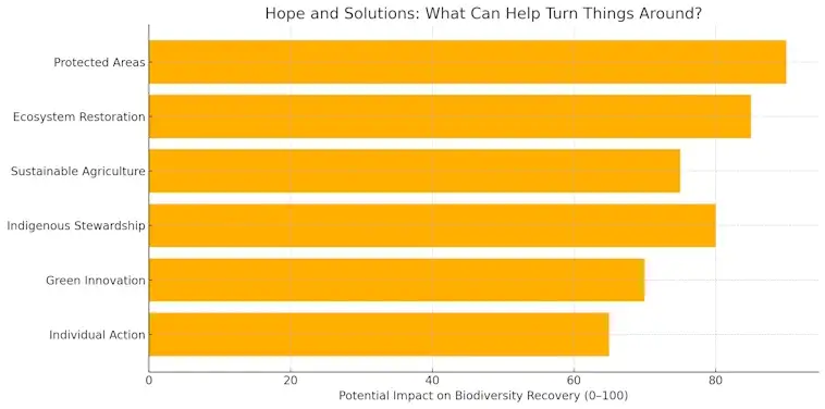 Hope and Solutions