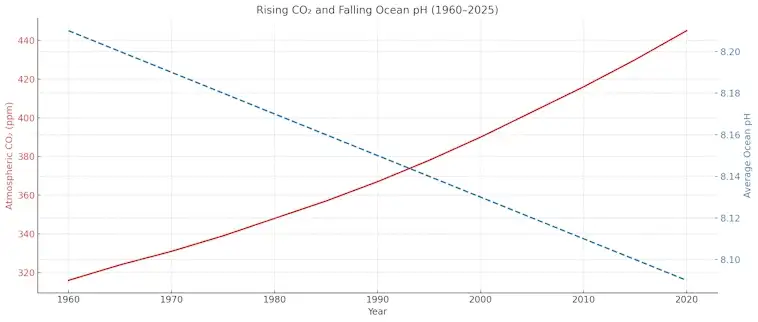 Rising CO2 and Falling pH