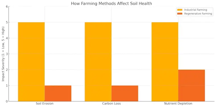 Soil Health