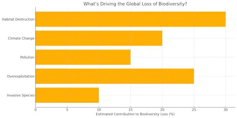 Global Loss of Biodversity