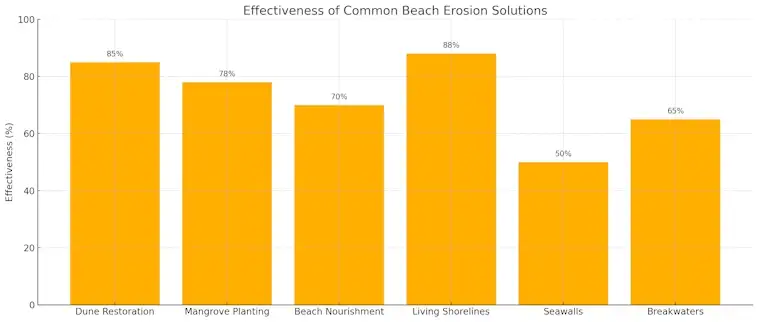Effectiveness of Common Beach Erosion Solutions