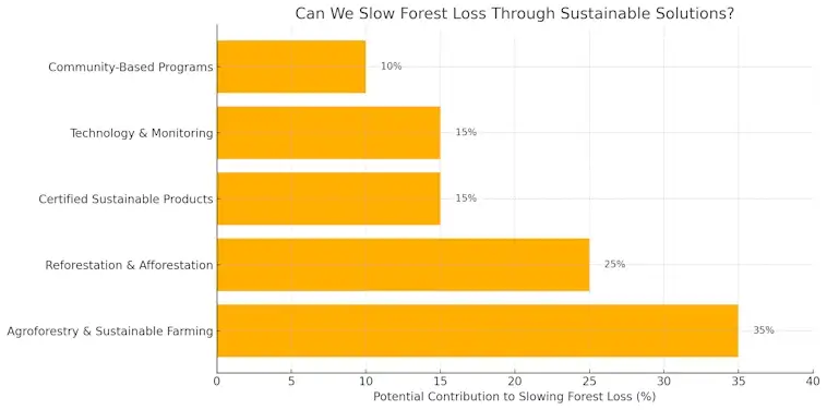 Can We Slow Forest Loss Through Sustainable Solutions