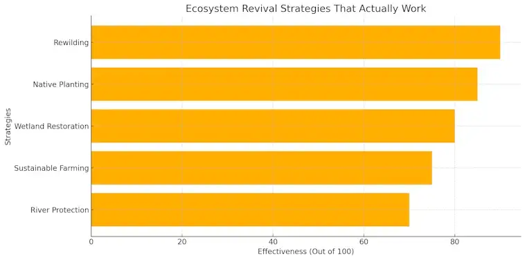 Ecosystem Revival Strategies That Actually Work