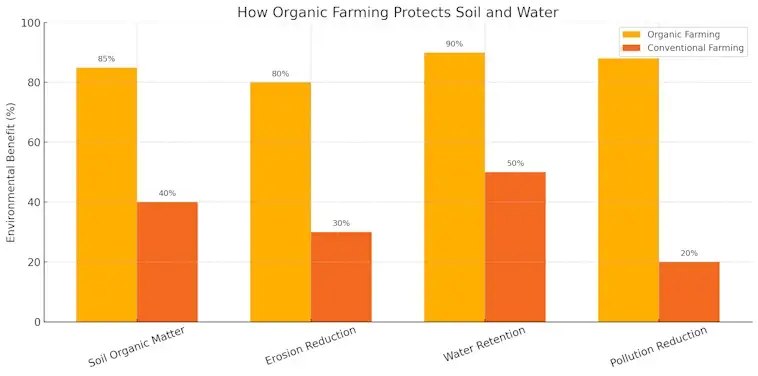 How Organic Farming Protects Soil and Water
