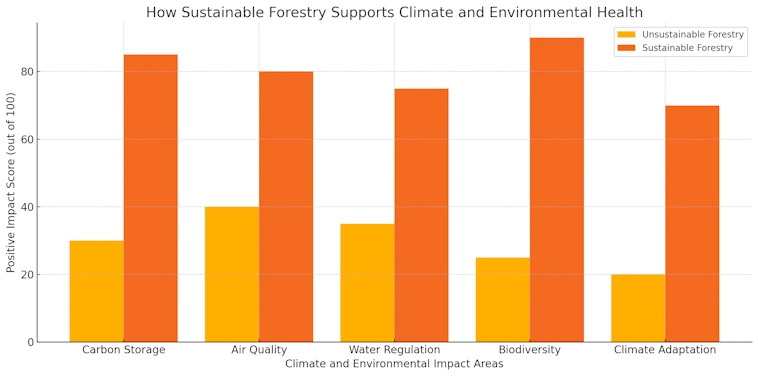 How Sustainable Forestry Supports Climate and Environmental Health