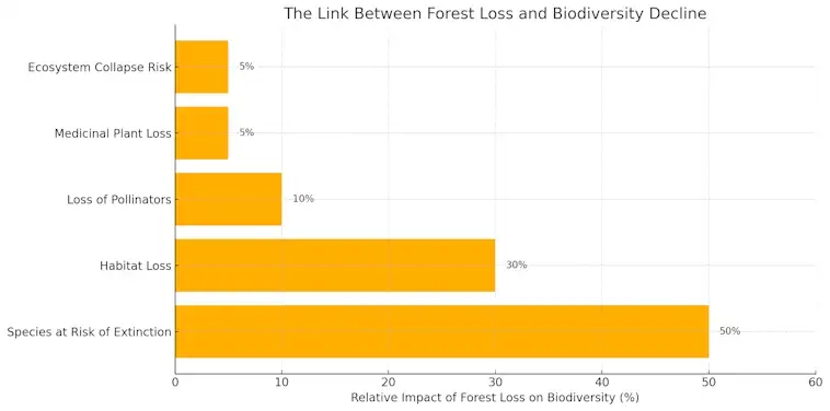The Link Between Forest Loss and Biodiversity Decline