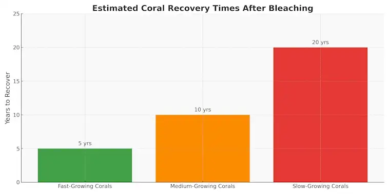 Estimated Coral Recovery Times After Bleaching