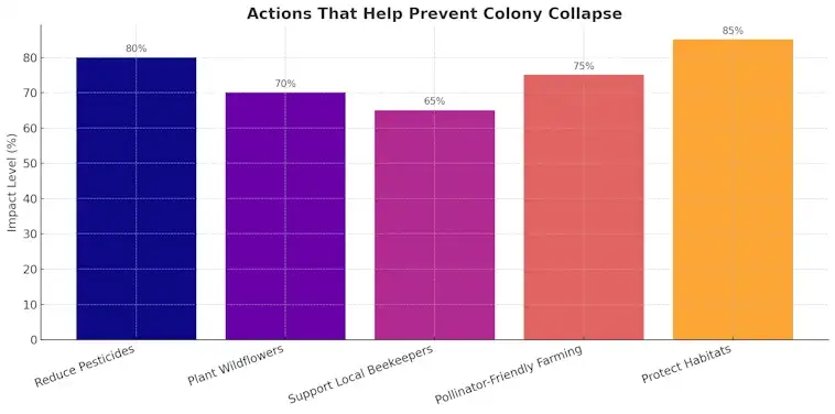 Actions That Help Prevent Colony Collapse