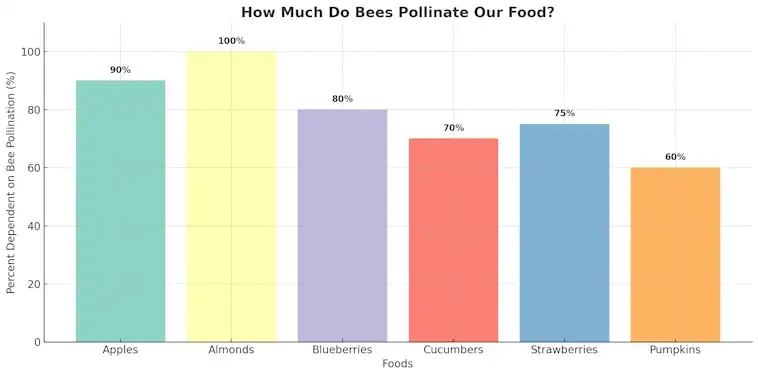 How Much Do Bees Pollinate Our Food