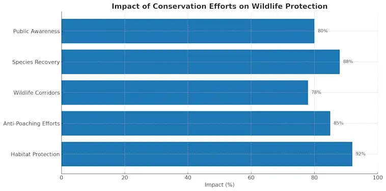 Impact of Conservation Efforts on Wildlife Protection