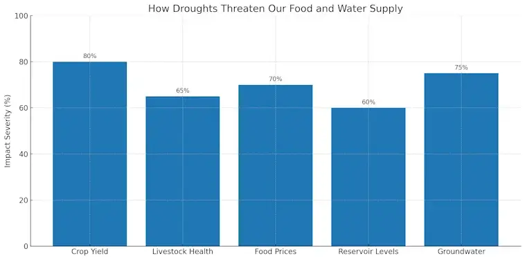 How Droughts Threaten Our Food and Water Supply