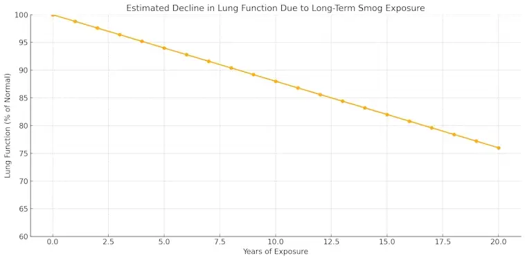 Estimated Decline in Lung Function Due to Long-Term Smog Exposure