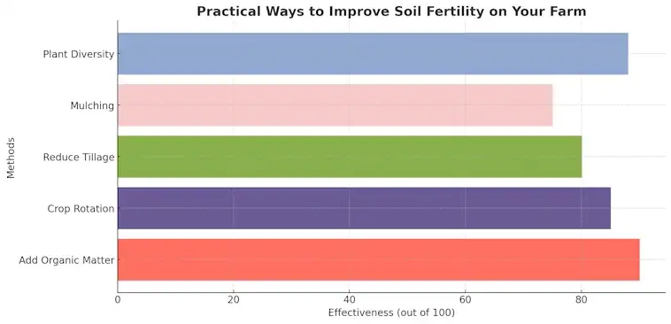 Practical Ways to Improve Soil Fertility