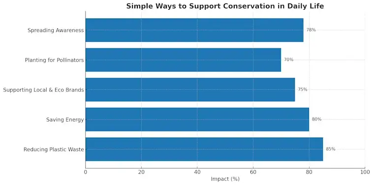 Simple Ways to Support Conservation in Daily Life