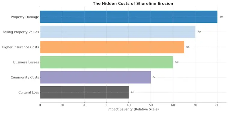 The Hidden Costs of Shoreline Retreat