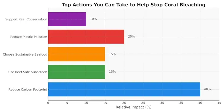 Top Actions You Can Take to Help Stop Coral Bleaching