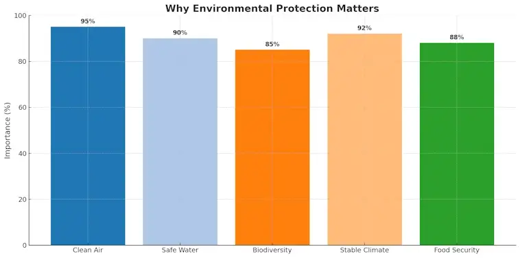 Why Environmental Protection Matters
