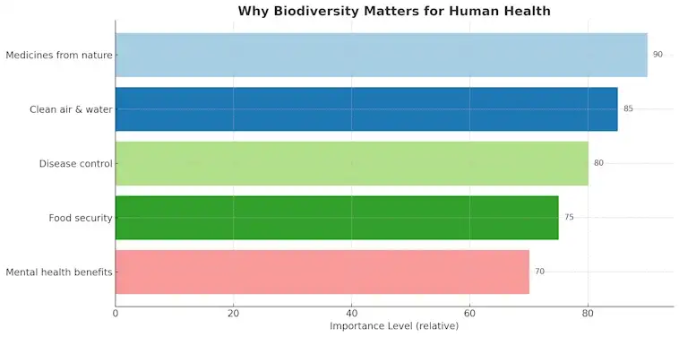 Why Preserving Biodiversity Matters for Human Health