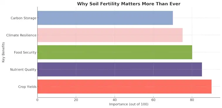 Why Soil Fertility Matters More Than Ever