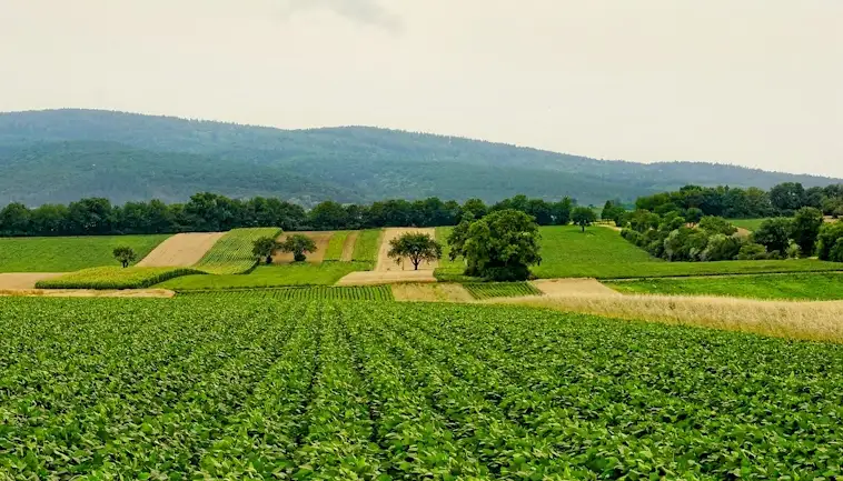 Sustainable Agriculture is Transforming our Food System