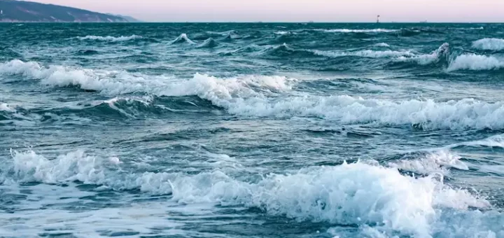 Ocean Acidification
