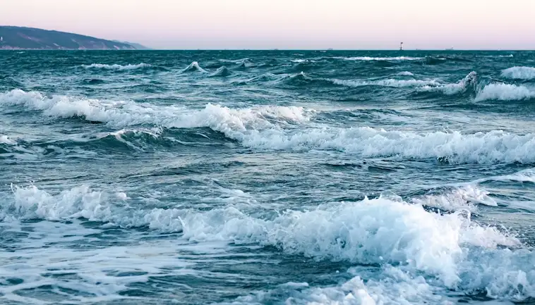 Ocean Acidification