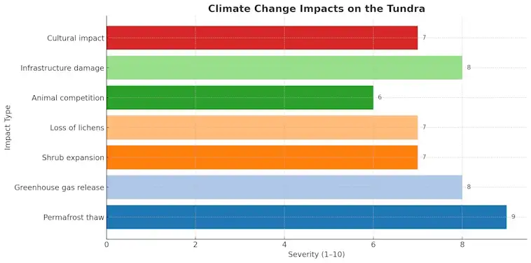 How Climate Change Impacts Tundra Soil