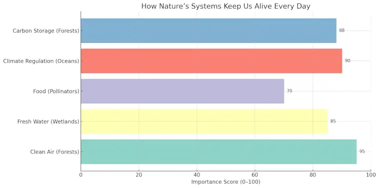How Natures Systems Keep Us Alive