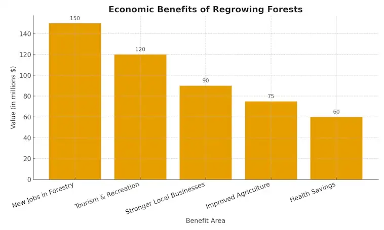 Economic Benefits of Regrowing Forests