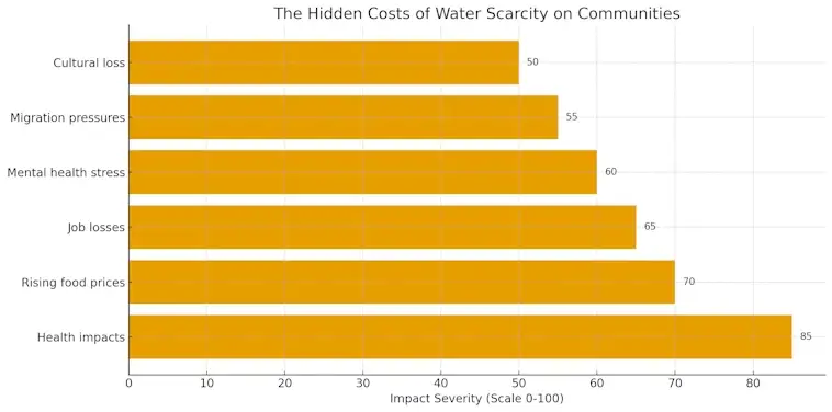Severe Droughts and the Costs of Water Scarcity
