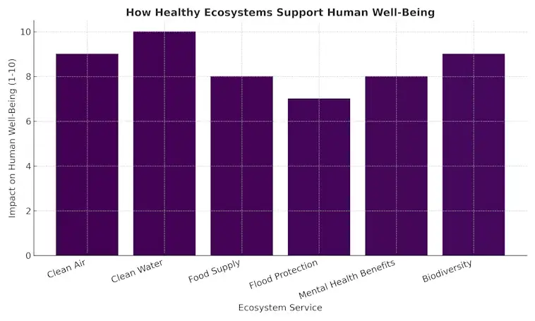 How Healthy Ecosystems Support Human Well-Being