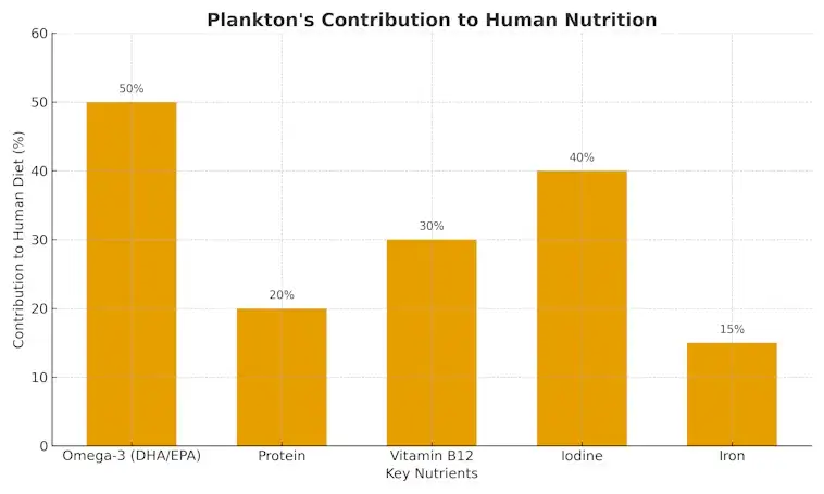 Planktons Contribution to Human Nutrition