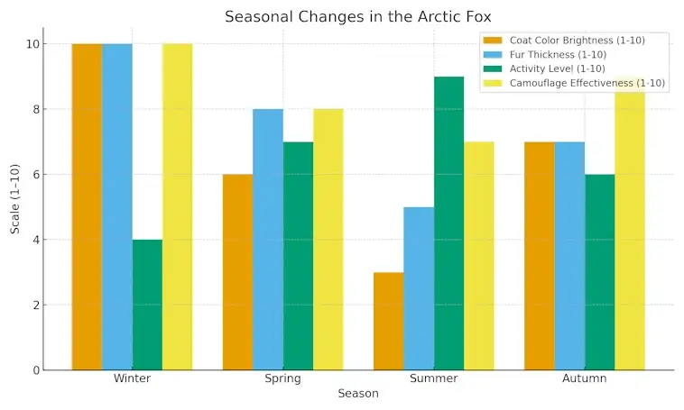 Seasonal Changes in the Arctic Fox