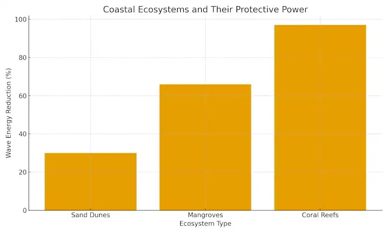 The Coastal Ecosystems and Their Protective Power